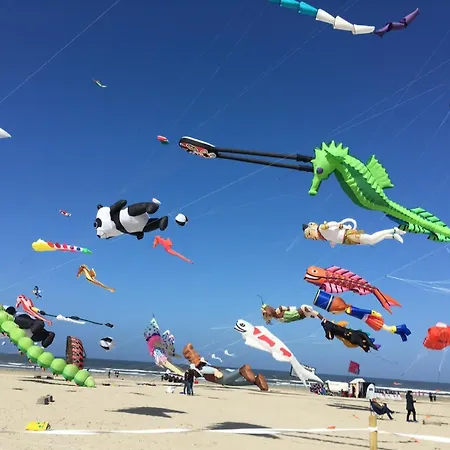 - Familial Lumineux Au Coeur De Berck-plage Apartmán *